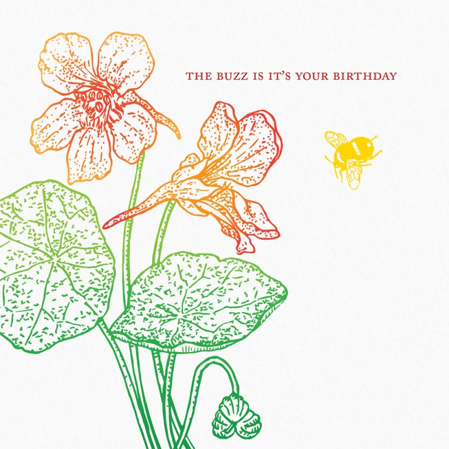 Birthday Buzz Card - Ampersand M Studio