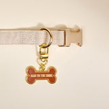 Bad to the Bone Dog Collar Charm - The Darling Effect