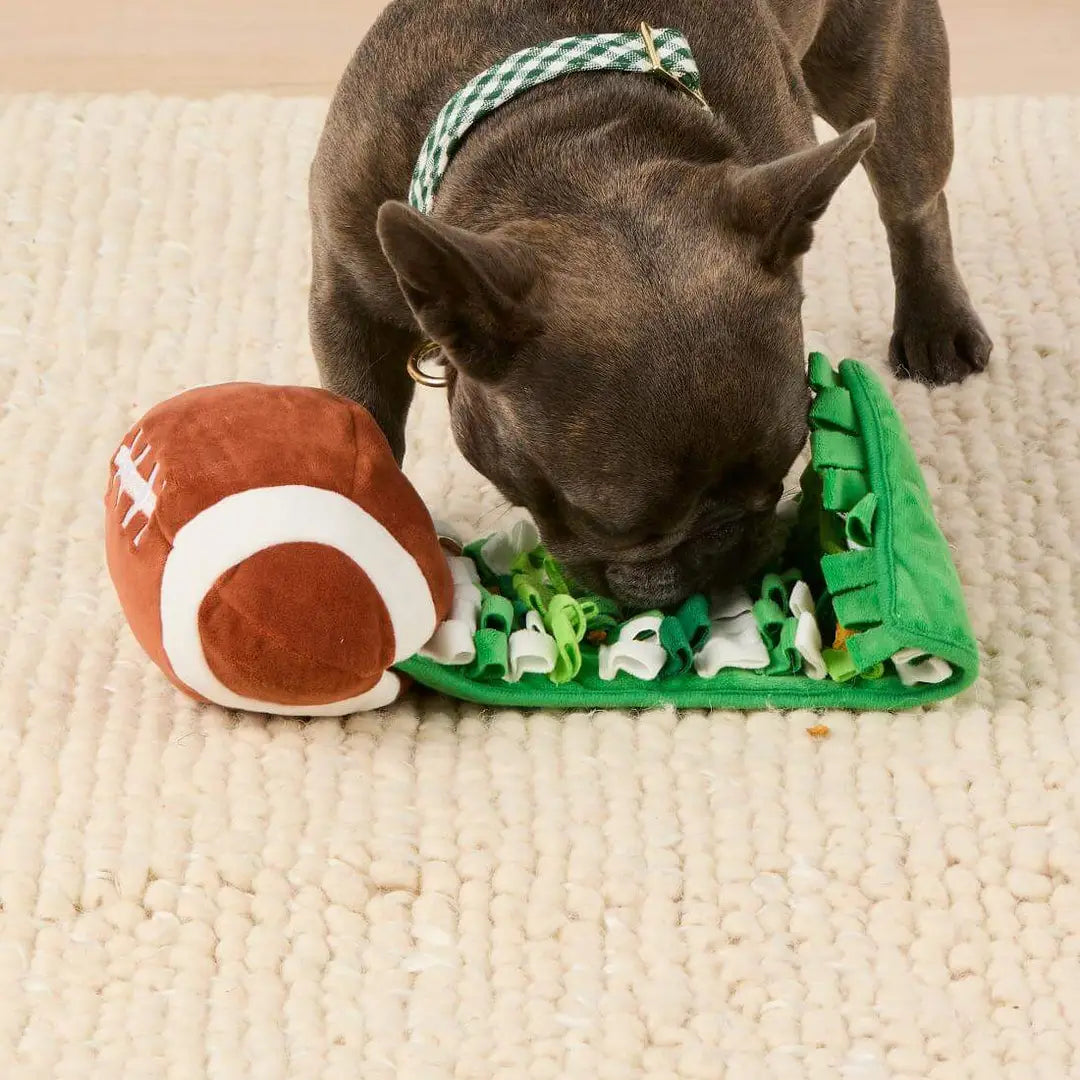 Football Interactive Snuffle Dog Toy - The Foggy Dog