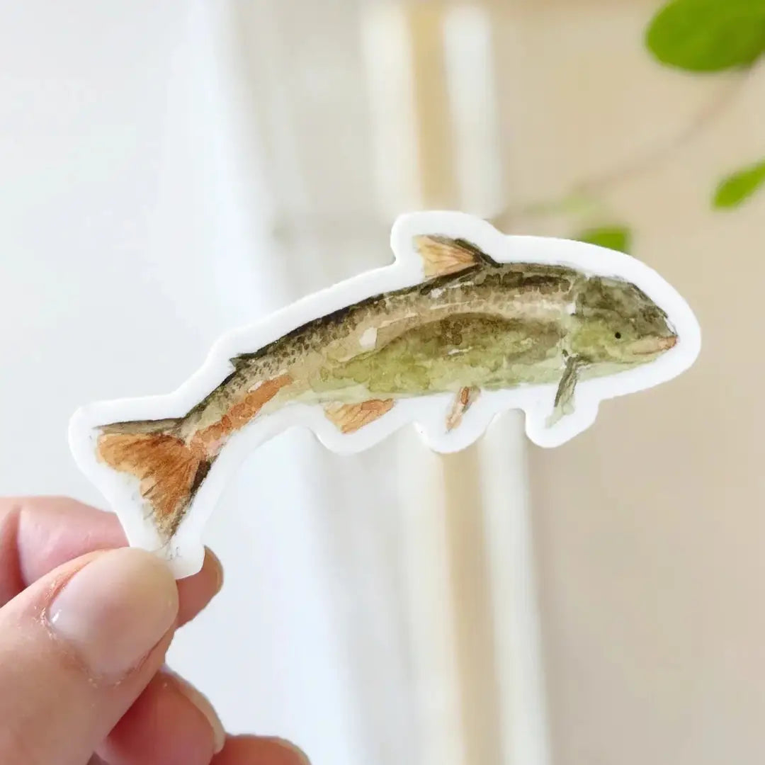 Watercolor Fish Sticker - emily lex studio
