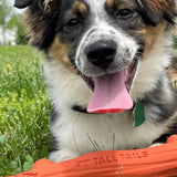 Goat Sport Fetch Stick Dog Toy - Tall Tails
