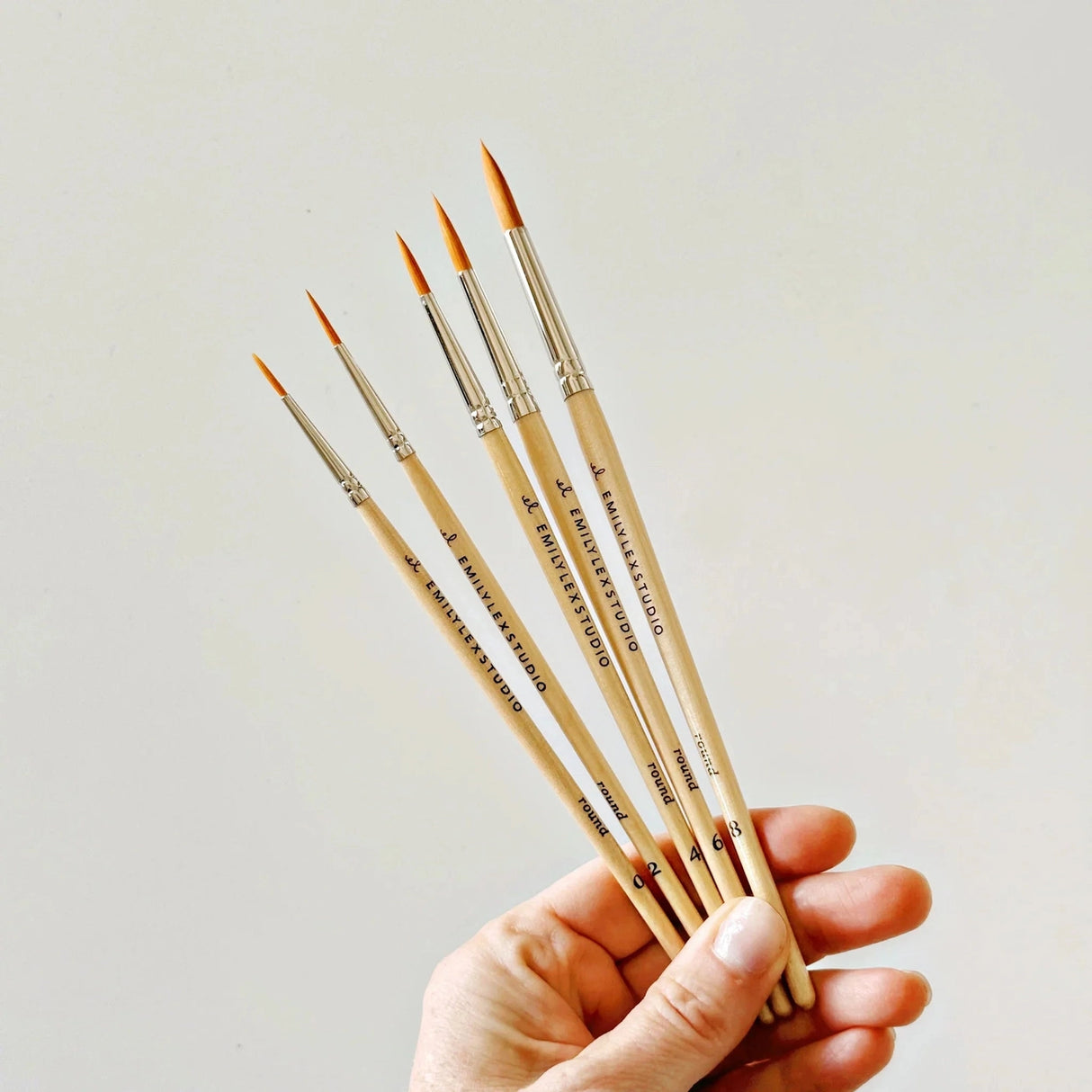 Watercolor Paintbrush Set - emily lex studio