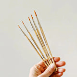 Watercolor Paintbrush Set - emily lex studio