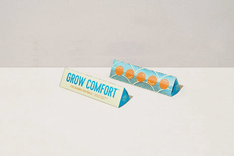 Bright Side Seed Balls - Modern Sprout