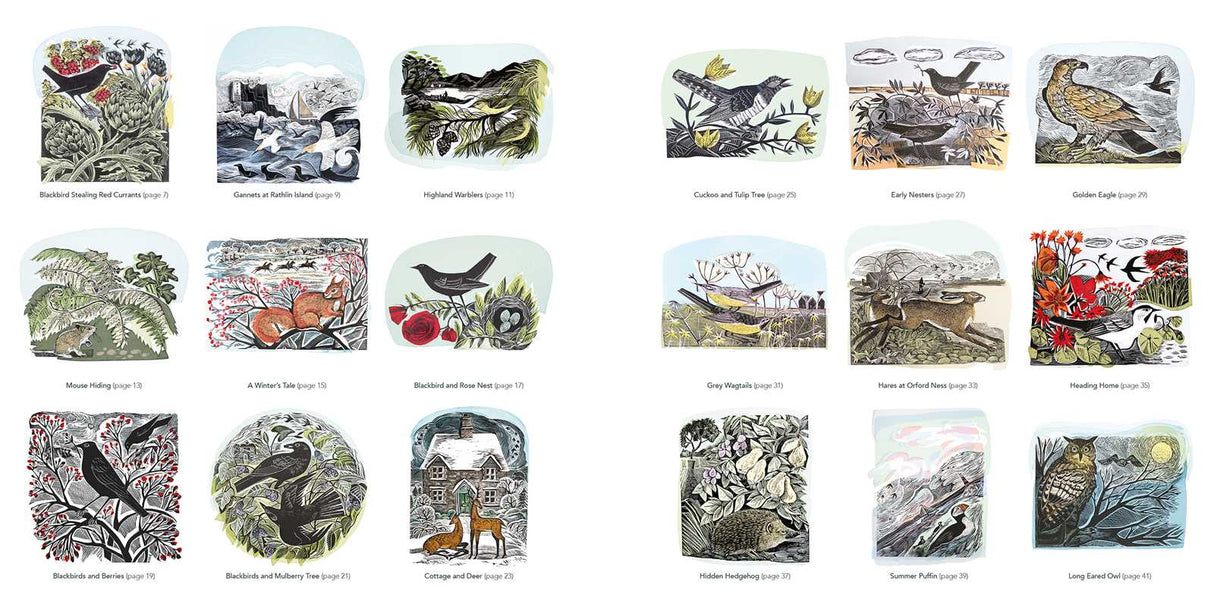 Wildlife Coloring Book By Angela Harding