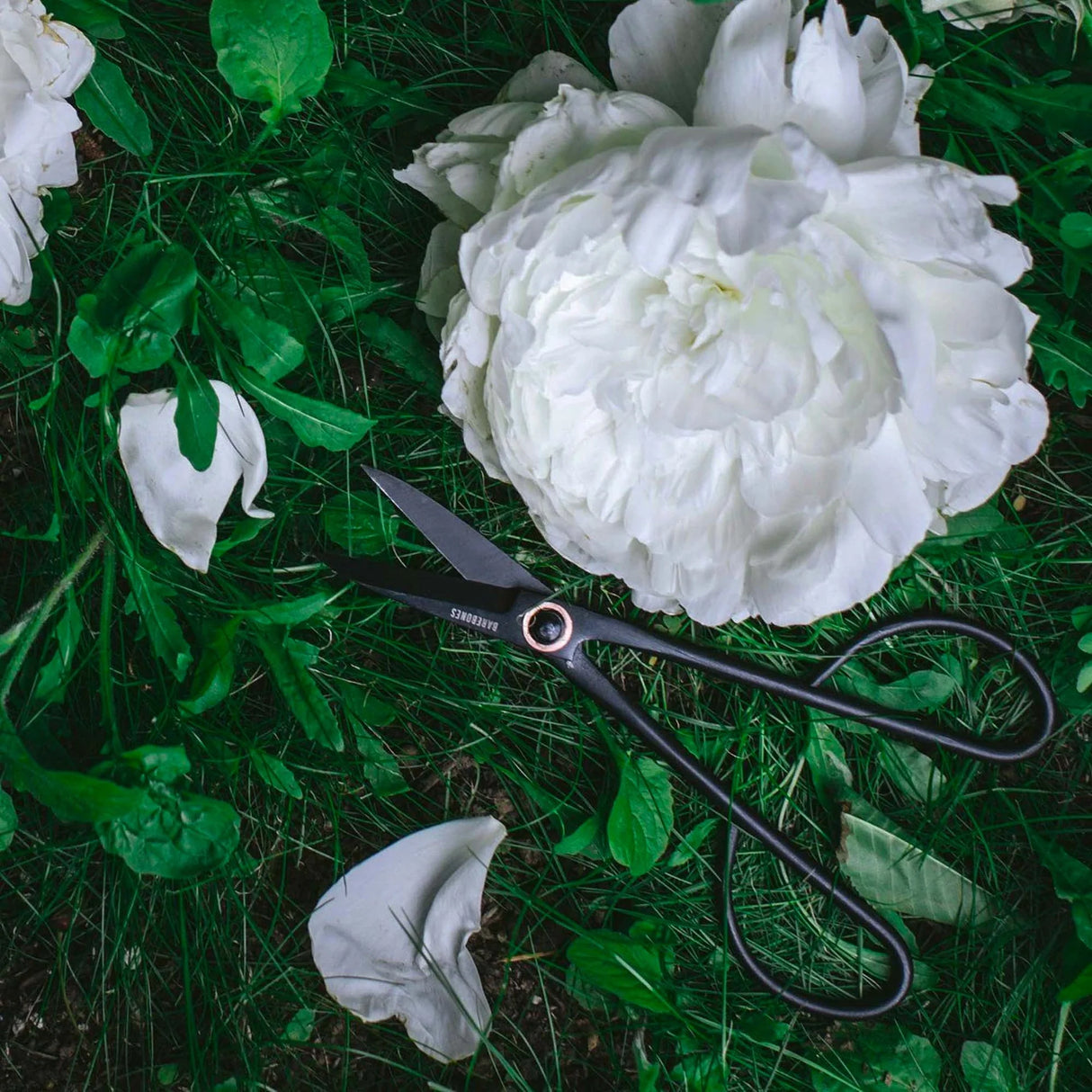 Artisan Pruning Shears - Barebones