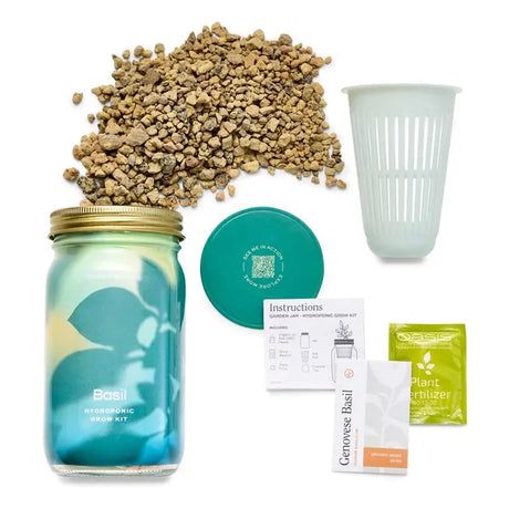Basil Garden Jar - Modern Sprout - The Woods Maine