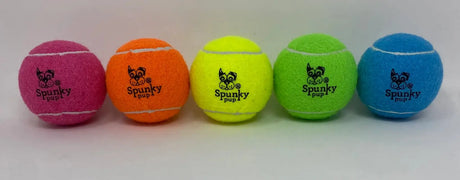 Bucket of Balls (24 Count) - Spunky Pup - The Woods Maine