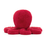 Cranberry Octopus Little - Jellycat