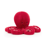 Cranberry Octopus Little - Jellycat