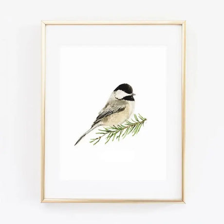 Chickadee 8x10 Art Print - emily lex studio - The Woods Maine