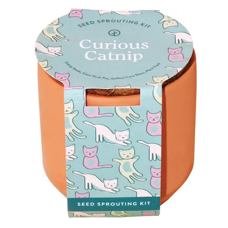 Curious Catnip Terracotta Grow Kit - Modern Sprout - The Woods Maine