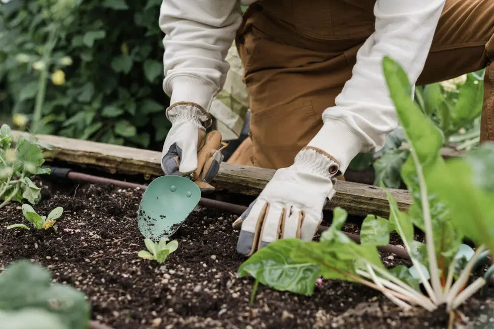 Garden Scoop - Barebones - The Woods Maine