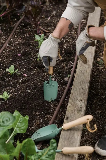Garden Trowel - Barebones - The Woods Maine