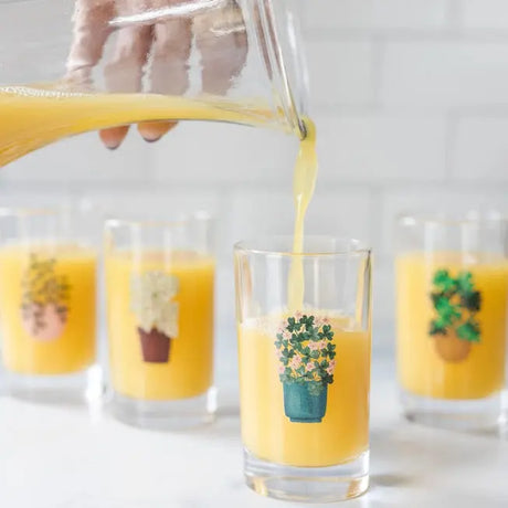 Houseplants Mini Juice Glasses (Set of 4) - One Canoe Two Paper Co. - The Woods Maine