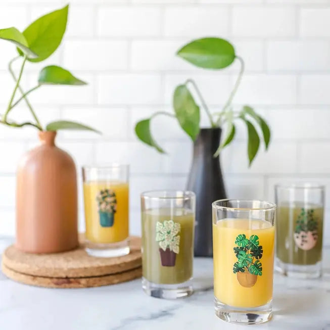 Houseplants Mini Juice Glasses (Set of 4) - One Canoe Two Paper Co. - The Woods Maine