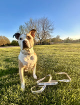 My Maine Dog Leash | Made in the USA