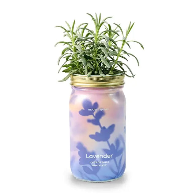 Lavender Garden Jar - Modern Sprout - The Woods Maine