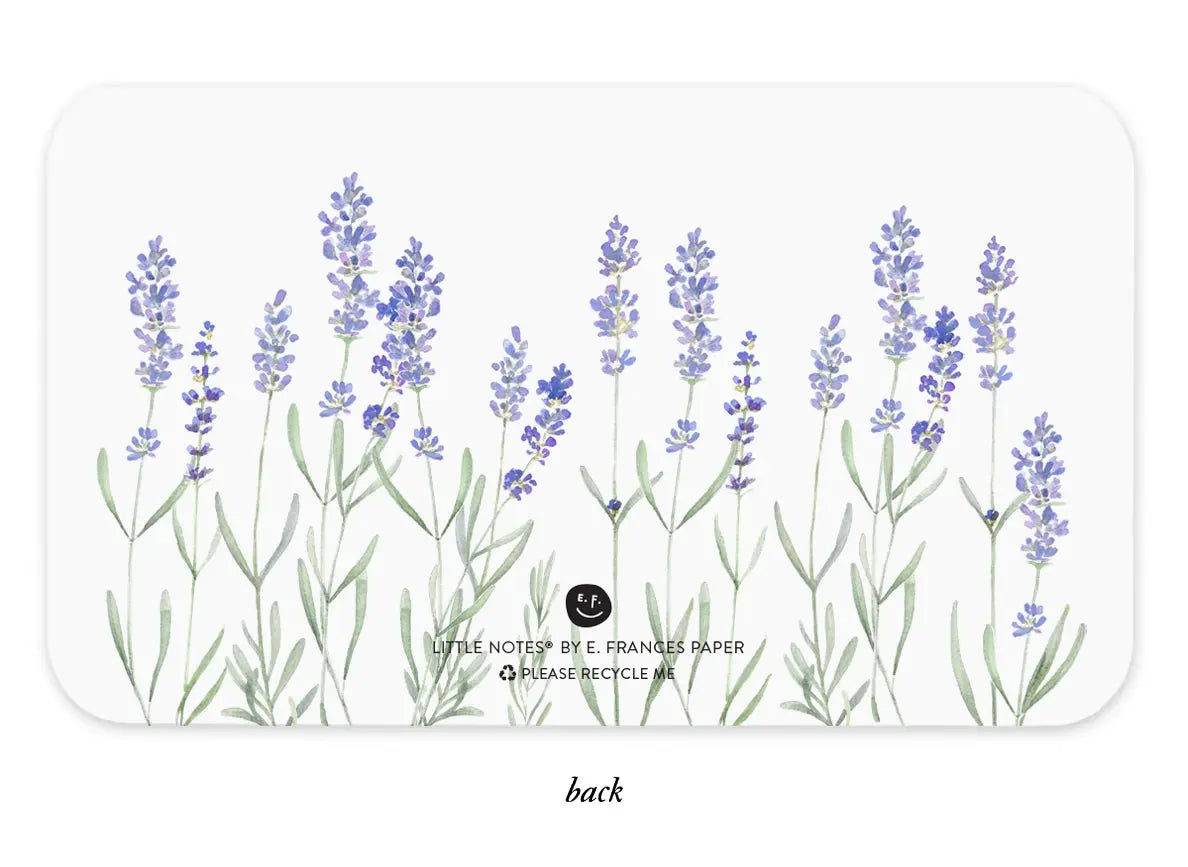 Lavender Set of 85 Little Notes® - E. Frances Paper E. Frances Paper