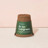 Loblolly Pine Tree Grow Kit - Modern Sprout - The Woods Maine