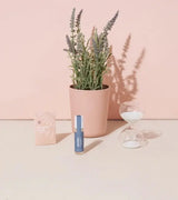 Mindful Lavender Meditation Kit - Modern Sprout - The Woods Maine