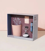 Mindful Lavender Meditation Kit - Modern Sprout - The Woods Maine