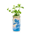 Mint Garden Jar - Modern Sprout - The Woods Maine