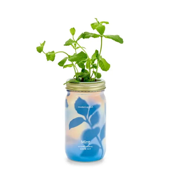 Mint Garden Jar - Modern Sprout - The Woods Maine
