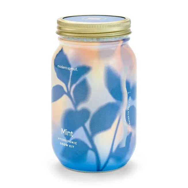 Mint Garden Jar - Modern Sprout - The Woods Maine