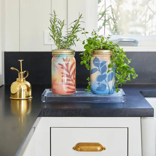 Mint Garden Jar - Modern Sprout - The Woods Maine