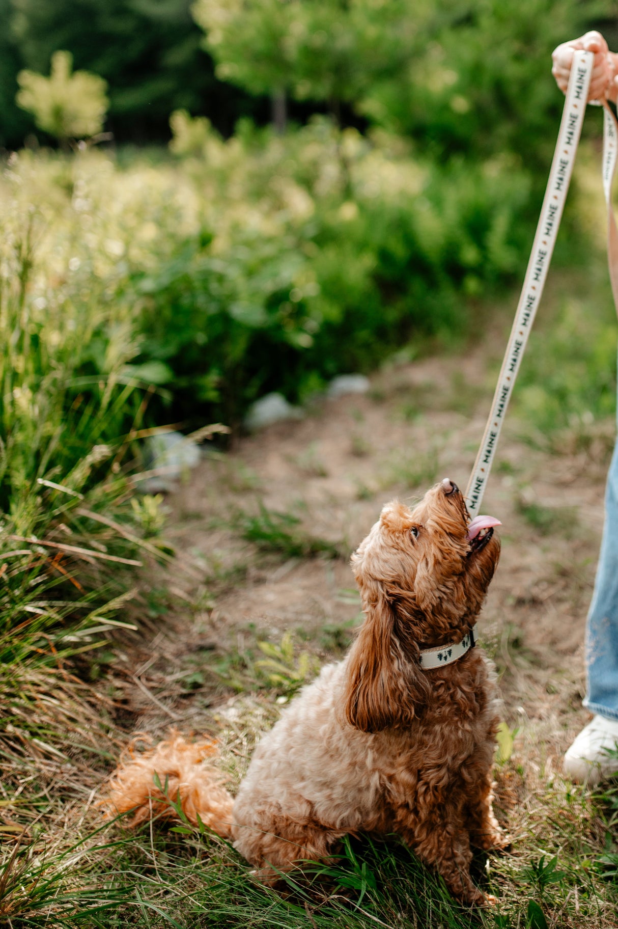 My Maine Dog Leash | Made in the USA