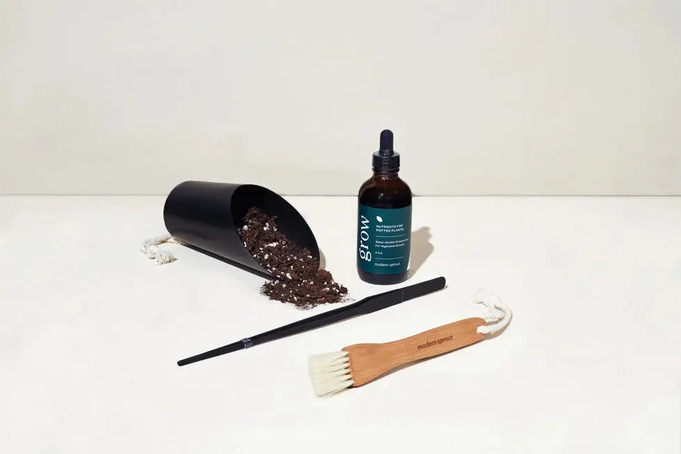 Plant Parent Tool Kit - Modern Sprout - The Woods Maine
