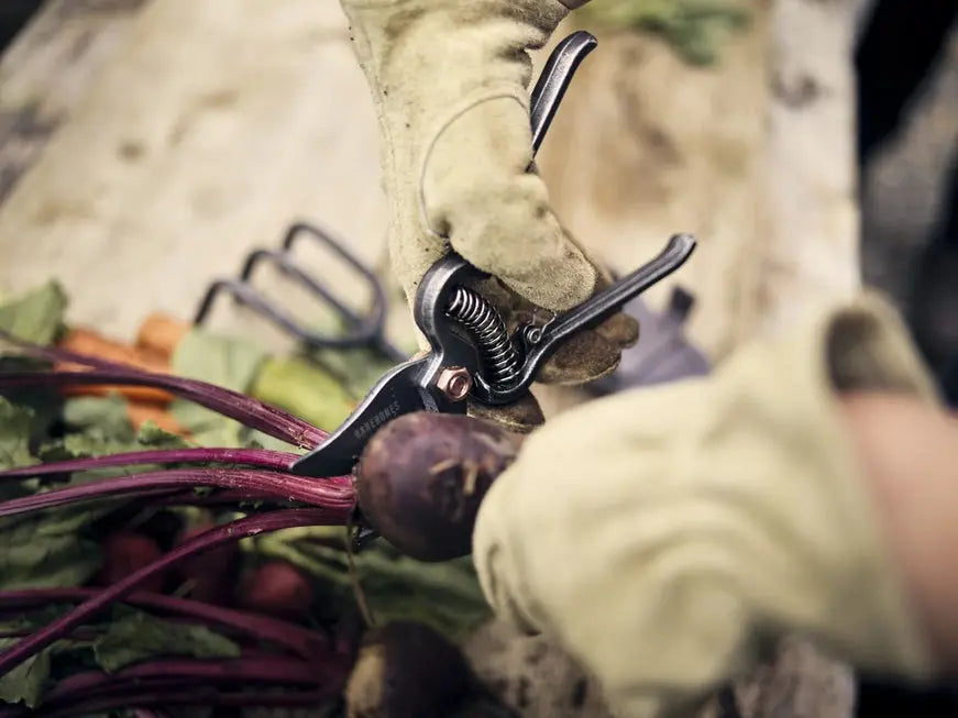 Pruner - Barebones - The Woods Maine