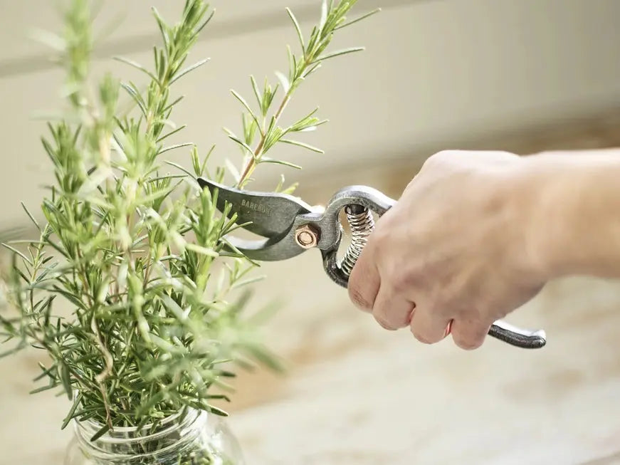 Pruner - Barebones - The Woods Maine