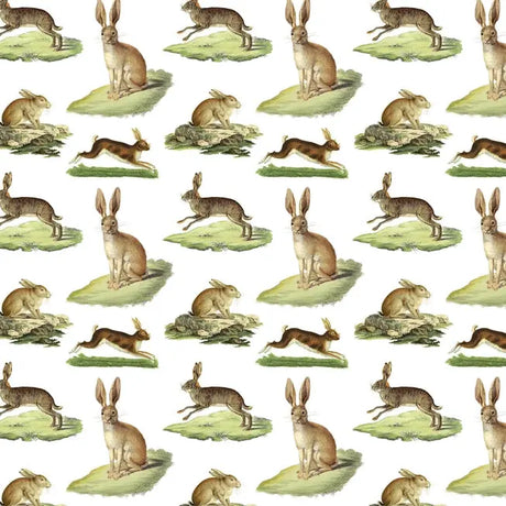 Rabbits Gift Wrap - Fairhope Graphics - The Woods Maine