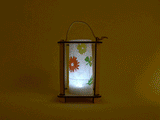 Nature Walk Lantern Science Kit For Kids - KiwiCo