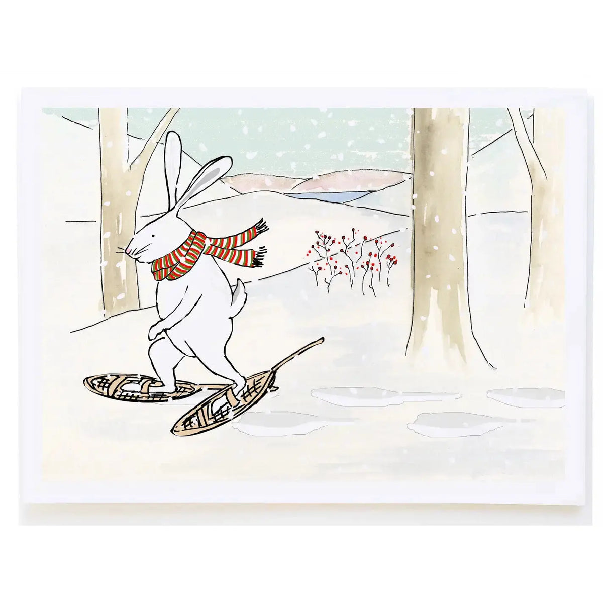 Snowshoe Hare - mollyOcards - The Woods Maine