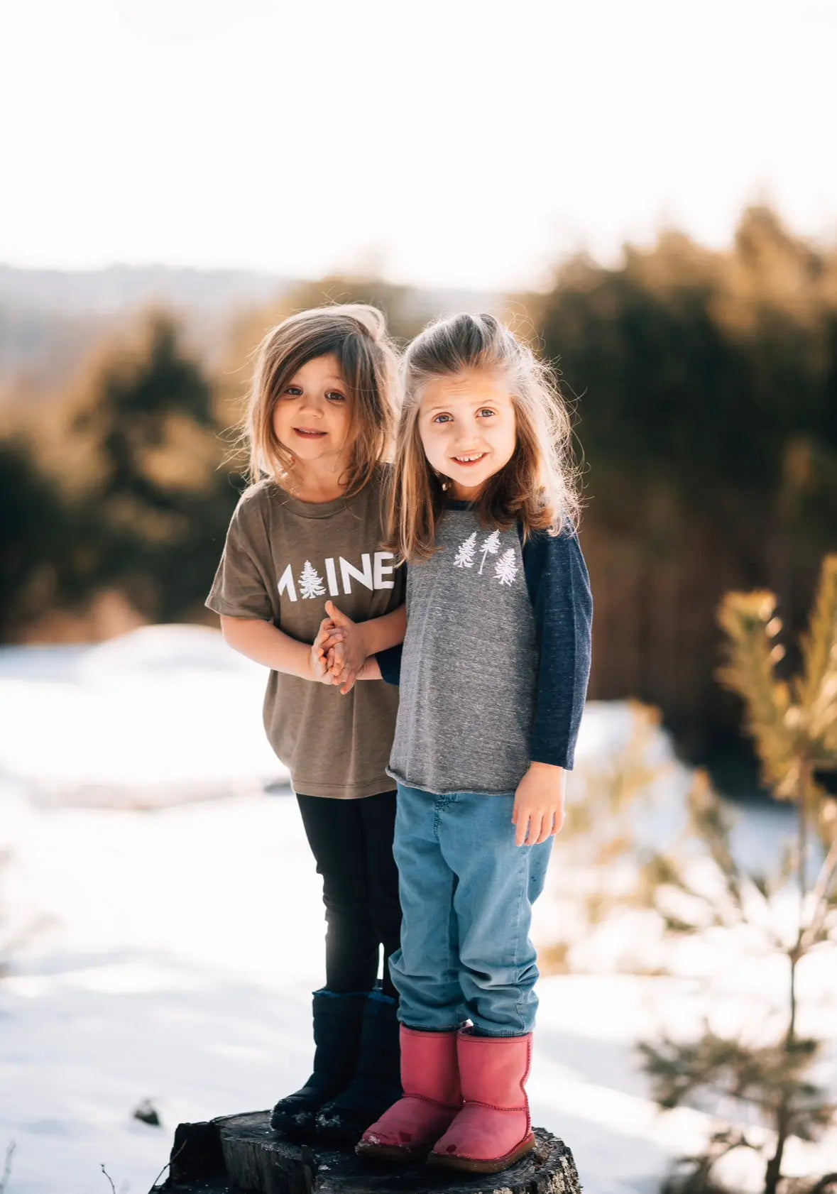 The Norway Toddler Baseball Long Sleeve - The Woods Maine