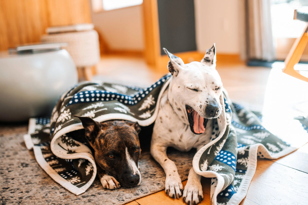 The Woods Maine: Three Pines® x ChappyWrap® Midi Blanket - The Woods Maine