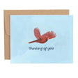 Thinking of You Cardinal Sympathy Card - One Canoe Two Paper Co. - The Woods Maine