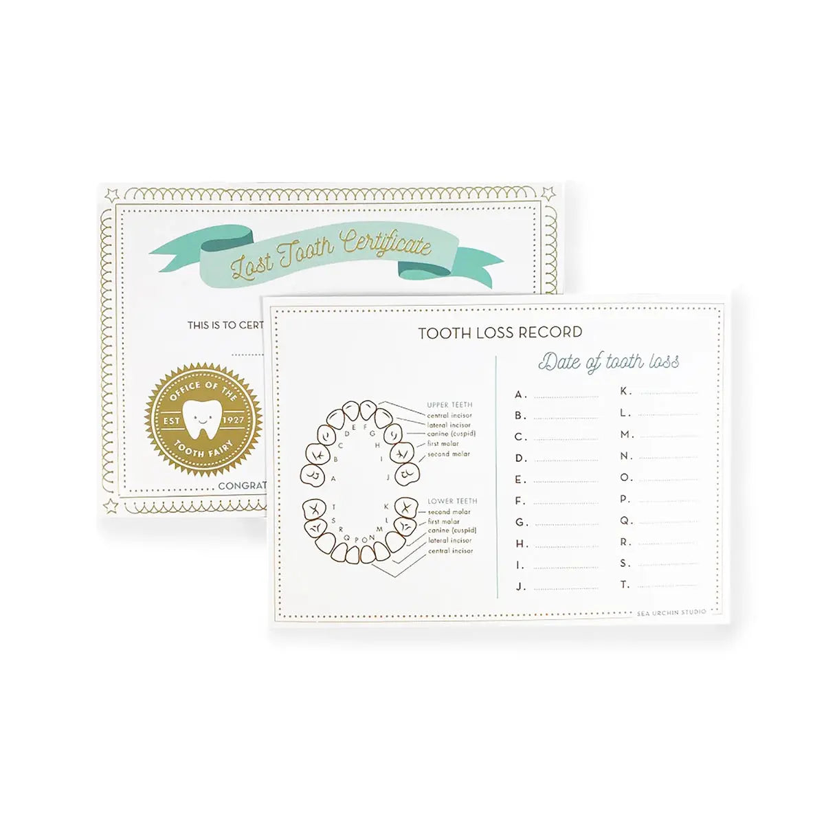 Tooth Fairy Lost Tooth Certificate - Sea Urchin Studio - The Woods Maine