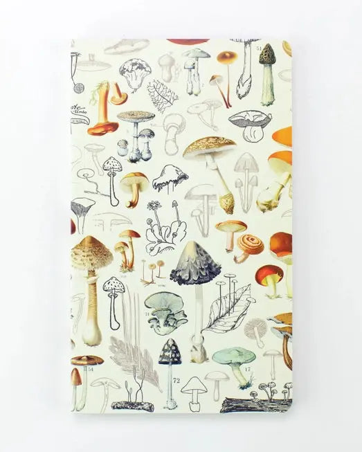 Yearly Mushroom Planner - Cognitive Surplus - The Woods Maine