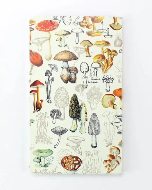 Yearly Mushroom Planner - Cognitive Surplus - The Woods Maine