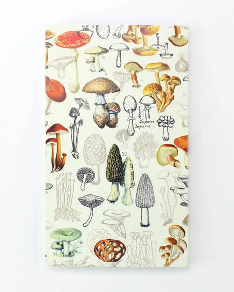 Yearly Mushroom Planner - Cognitive Surplus - The Woods Maine