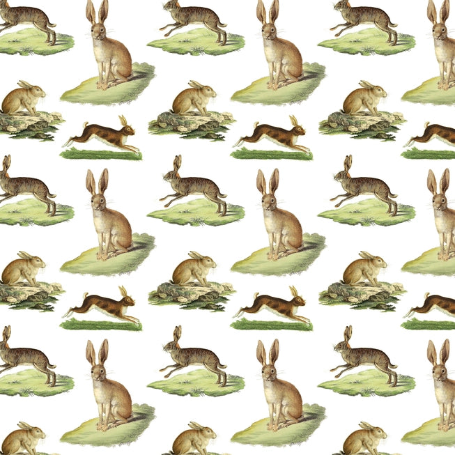 Rabbits Gift Wrap - Fairhope Graphics