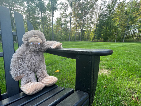 Stuffless Big Foot with Squeaker Dog Toy - Tall Tails