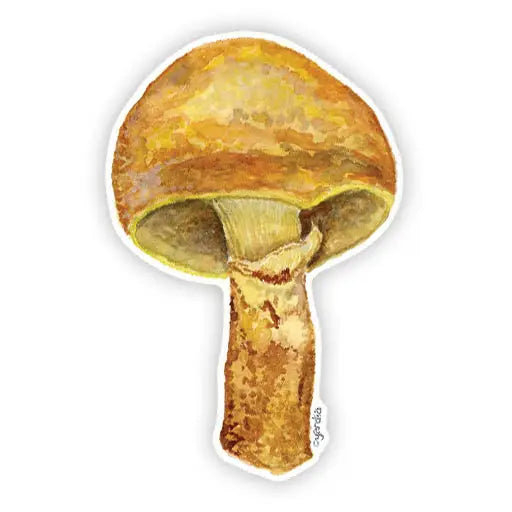 Larch Bolete Mushroom Sticker - Yardia