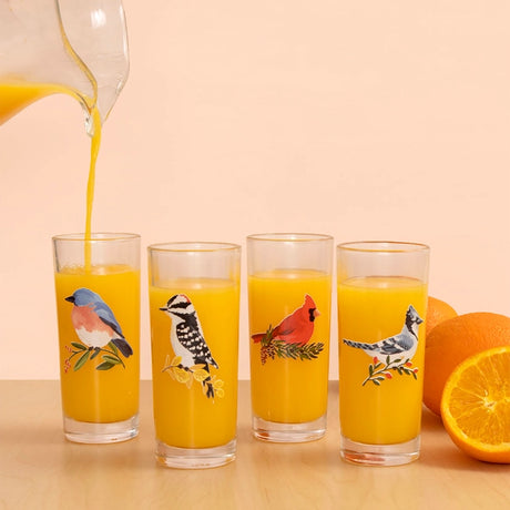 Feathered Friends Tall Juice Glasses (Set of 4) - One Canoe Two Paper Co.