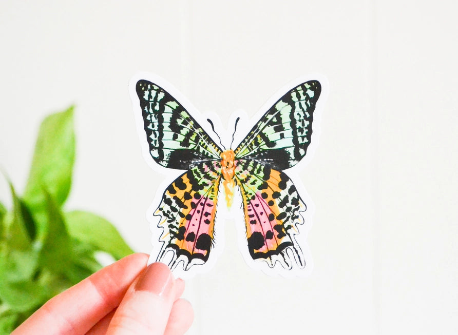 Sunset Moth Sticker - Laura King Paints