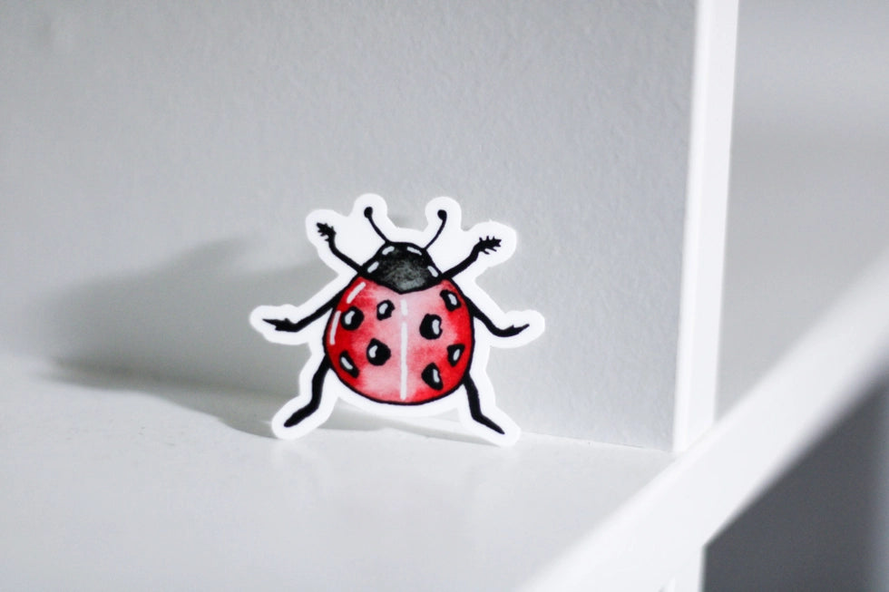 Mini Ladybug Sticker - S & D